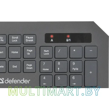 Комплект клавиатура + мышь Defender Berkeley C-925 Nano картинка 6